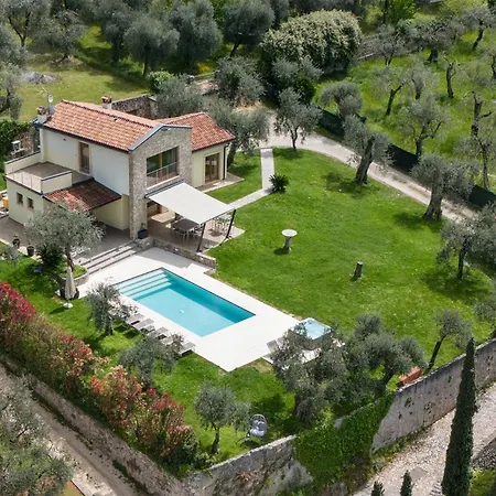 Cipressi - Luxuri Lounge - *