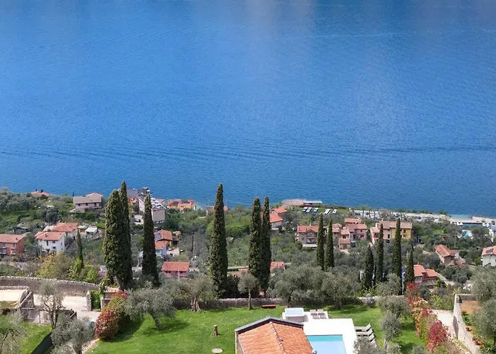 Cipressi - Luxuri Lounge -